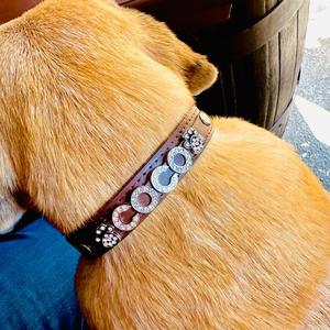 Genuine Leather Pet Collar with Crystal Letters for personalisation COMMENT PET NAME when placing order maximum 8 characters