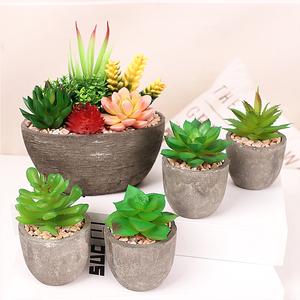 Set of 5 Artificial Succulent with Pulp Paper Pot for Home Office Indoor Decor