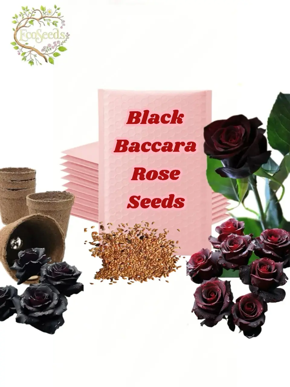 Black Baccara Rose Seeds - Grow the Rarest Red & Black Beauty - Perfect for Garden Lovers - 100 Seeds