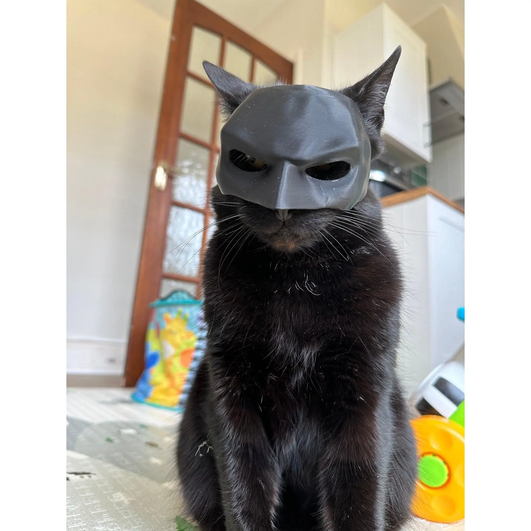Batman Bat Cat Mask Costume  - Become the Dark Cat! A Funny Outfit Accessory, Makes a Great Gift for any pet Enthusiast!