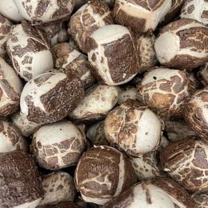 Charleston Chew Chocolate - Imported directly from USA - Freeze Dried Sweets