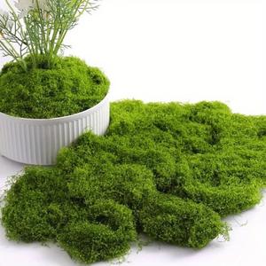 Artificial Moss Grass, 30/50/100g Fake Moss Grass, Decorative Plants for Home Garden Wedding Party Decoration
