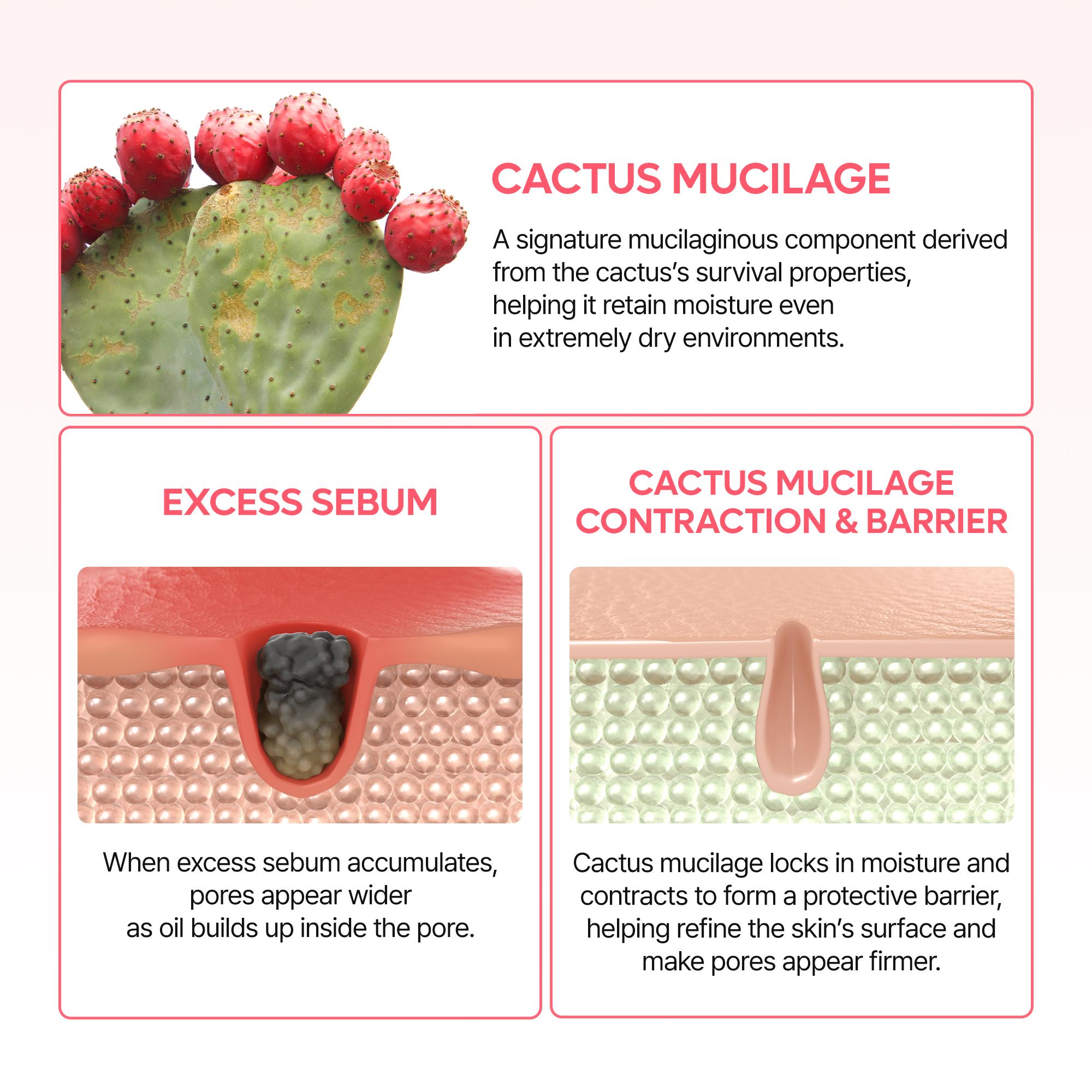 [Dr.Melaxin Official] 5-Step Glow & Cooling Routine Set | Radiance, Pore Care & Cooling Support
