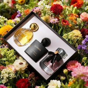 Women's Perfume Set, 3 Counts/box Long Lasting Fragrance for Women, Elegant Fragrance for Daily Wear, Fashion Gift for Women