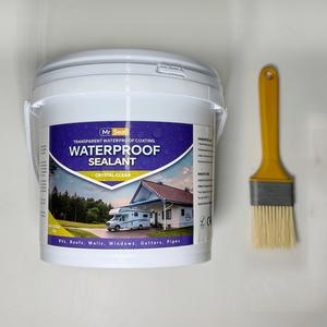 Transparent Waterproof Agent, High-Performance Water Repellent Coating, Long-Lasting Protection for Various Surfaces, Durable & Effective