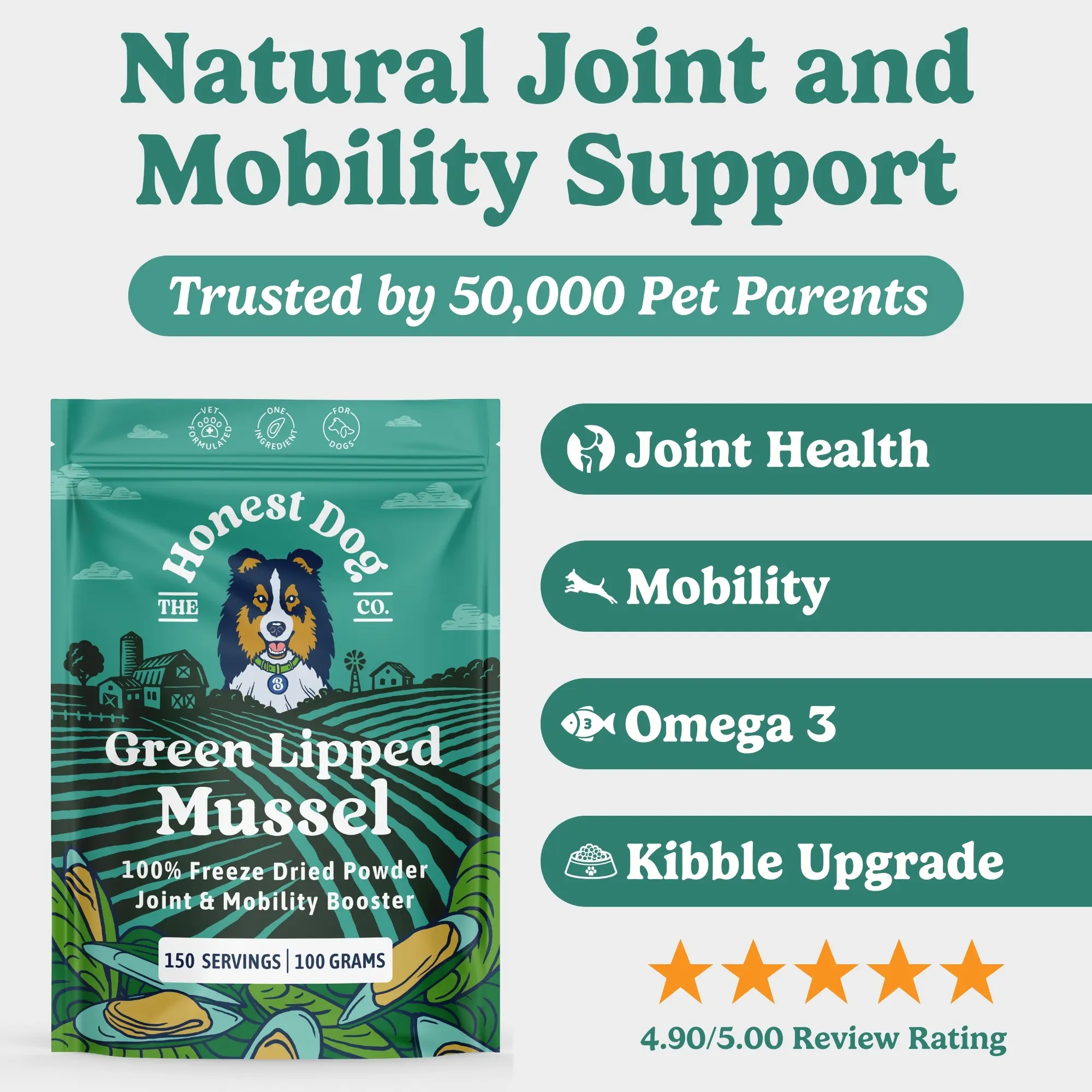 Honest Dog Co. Green Lipped Mussel Powder For Dogs (100 Grams - 150 Servings) Mobility and Flexibility Booster - Hip and Joint Care