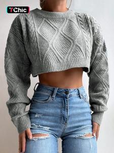 Women's Plain Textured Crop Sweater, Casual Long Sleeve Round Neck Jumper, Ultra Crop Top, Sweaters for Women, Women's Spring & Fall Knit Clothing for Daily Wear, Clubbing Tops, Ultra Crop Top, Knitwear