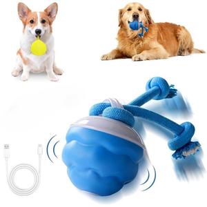 Interactive Dog Toy with Motion Sensor, Squeaky Dog Toy, Active Rolling Ball, Daily Training Rollerball, Pet Accessories, Cute Pet Toys