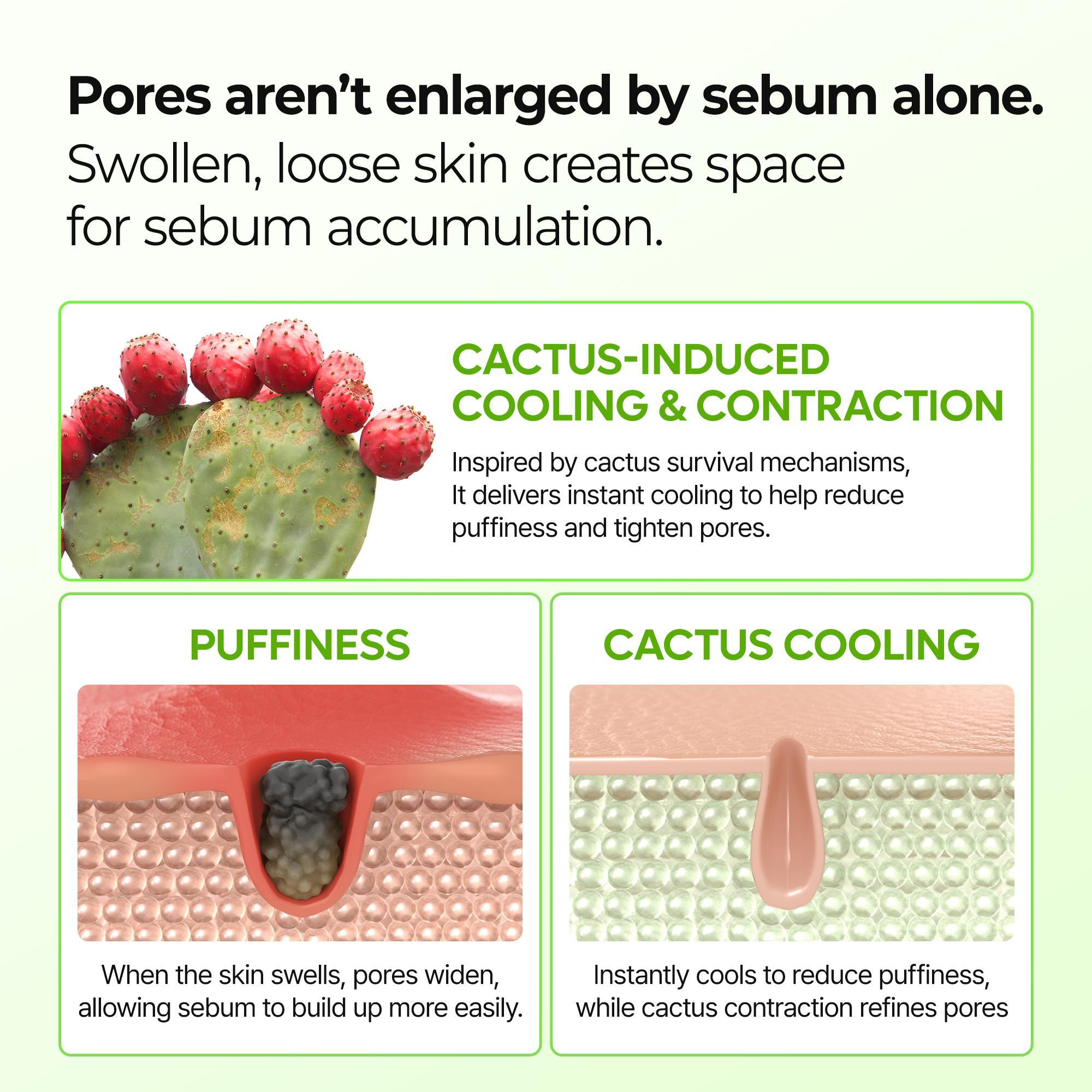 [Dr.Melaxin Official] 3-Step CACTOX Pore Tightening Set | Cooling, Firming & Pore Refining for Smoother-Looking Skin