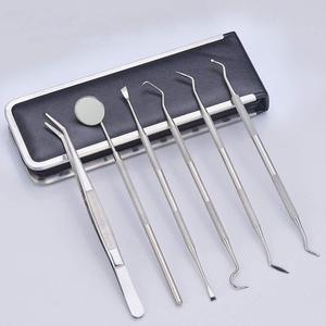 Stainless Steel Teeth Cleaning Tool Set, 6 Counts/set Professional Teeth Cleaning Tool, Oral Care Tool for Home & Travel, Dental Kit