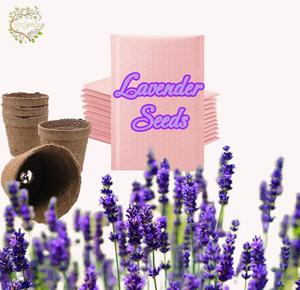 Lavender Seeds - Grow Your Own Healthy Berries at Home | High Yield | Perfect for Gardeners & Health Enthusiasts! - 2000 Seeds