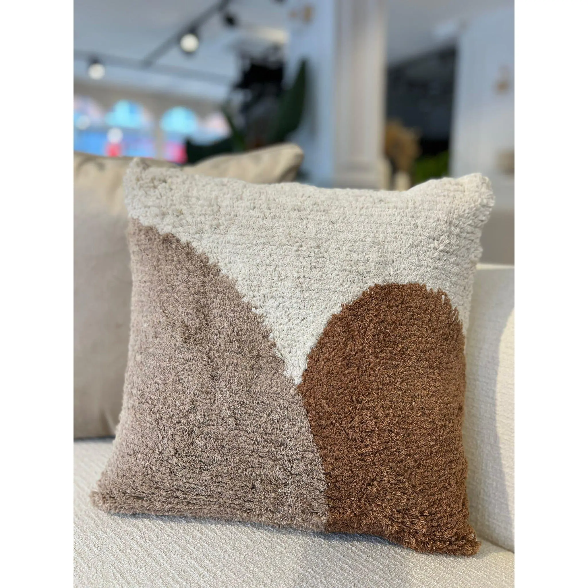 Ancoat Cushion 45 X 45