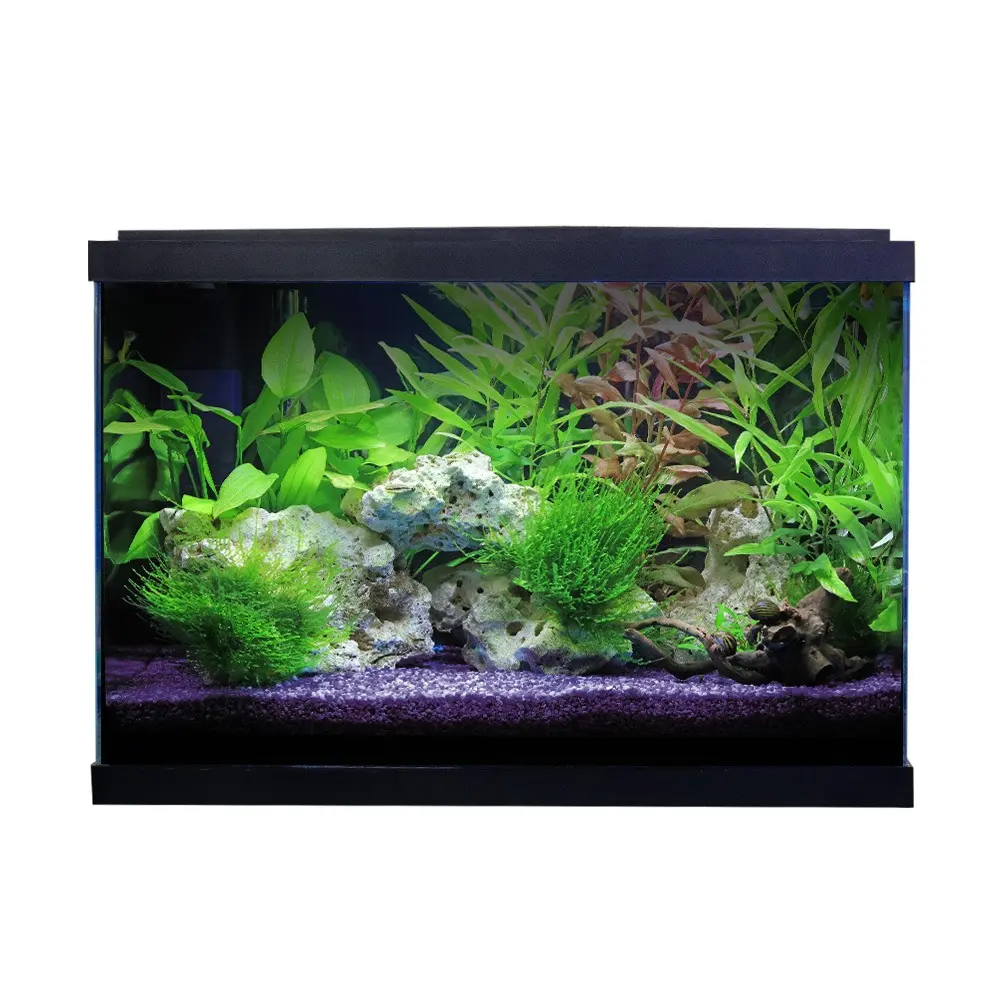 Swell Premium 62cm XL Tropical Aquarium Fish Tank Kit with Accessories