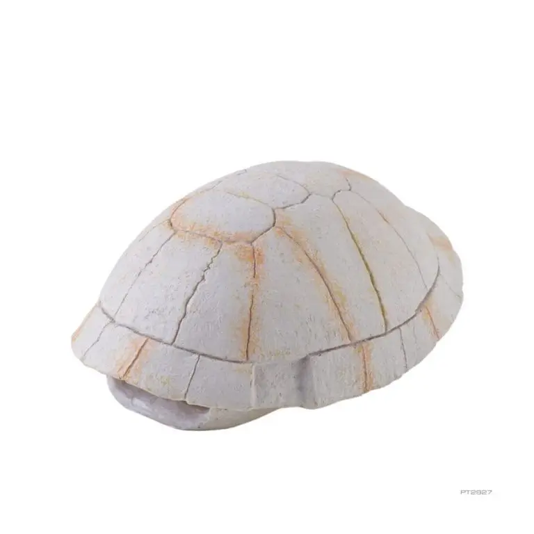 Exo-Terra Small Reptile Tortoise Skeleton Hides - Realistic Resin Decoration for Vivarium