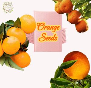 【Halloween Sale】Orange Seeds - Plant a Little Sunshine Today - 30 Seeds