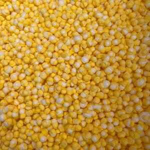 Banana Infinions - Freeze Dried Sweets | Vegan Vegetarian & Gluten Free